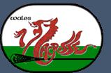 Wales Men's - Wales lacrosse logo